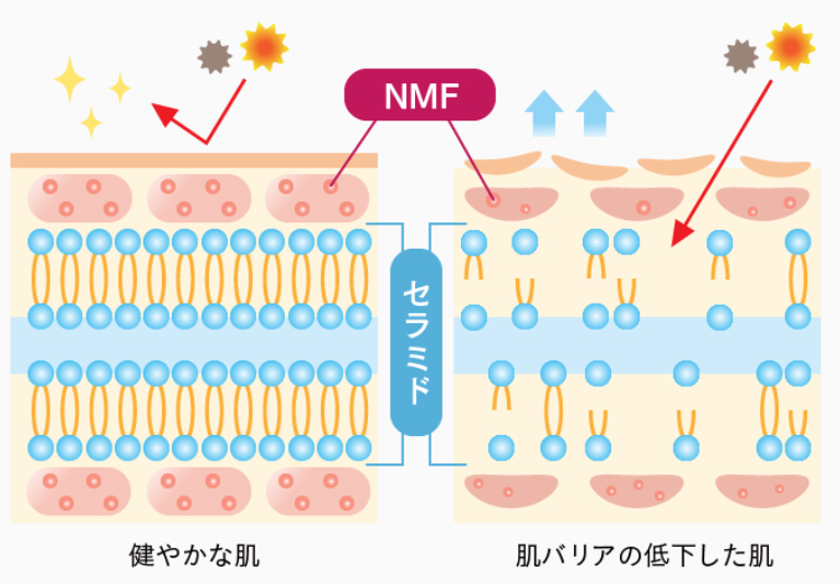 スキンバリアナノミルク リッチ