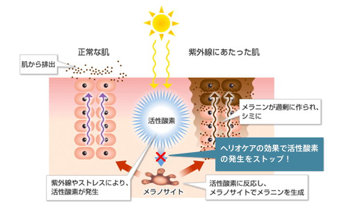 ヘリオケア