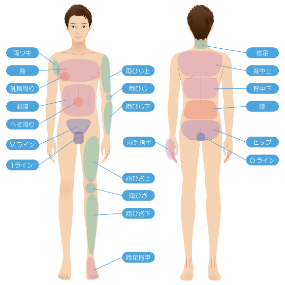 メンズ腕・足脱毛