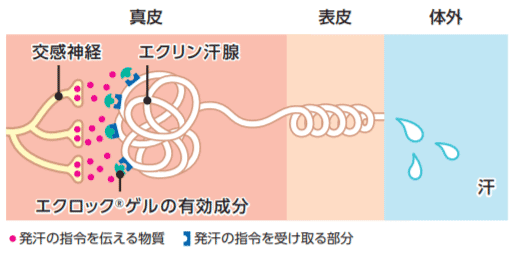 エクロックゲル